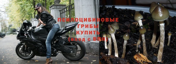 хмурый Балахна