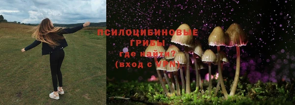 хмурый Балахна